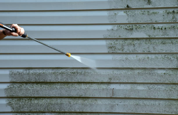 Best Roof Washing  in Mahanoy City, PA